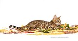 BohemianForest Pepino / Pepa, Pep&iacute;ček