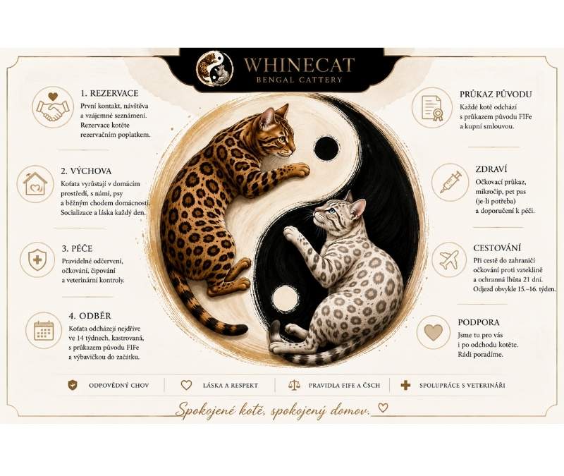 rezervace Whinecat